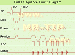 Echo Planar Imaging Timing Diagram