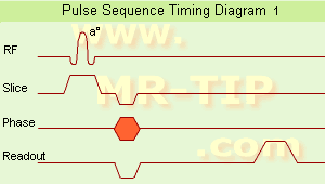 Spin Echo Timing Diagram