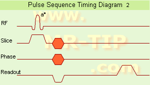 Spin Echo Timing Diagram