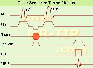 A schematic of the fast spin-echo or turbo spin-echo pulse sequence