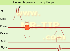 Gradient Echo Sequence Timing Diagram